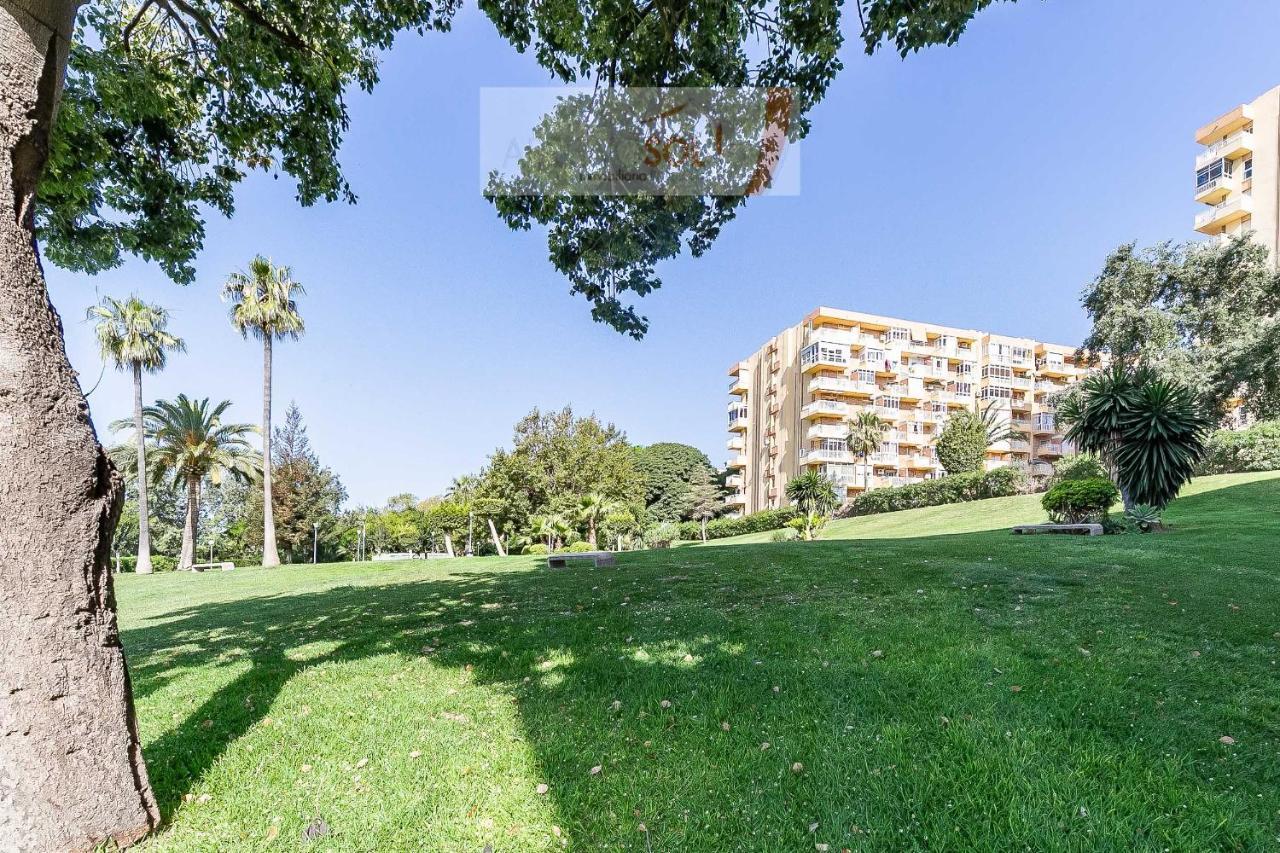 Alpa Minerva Appartement *